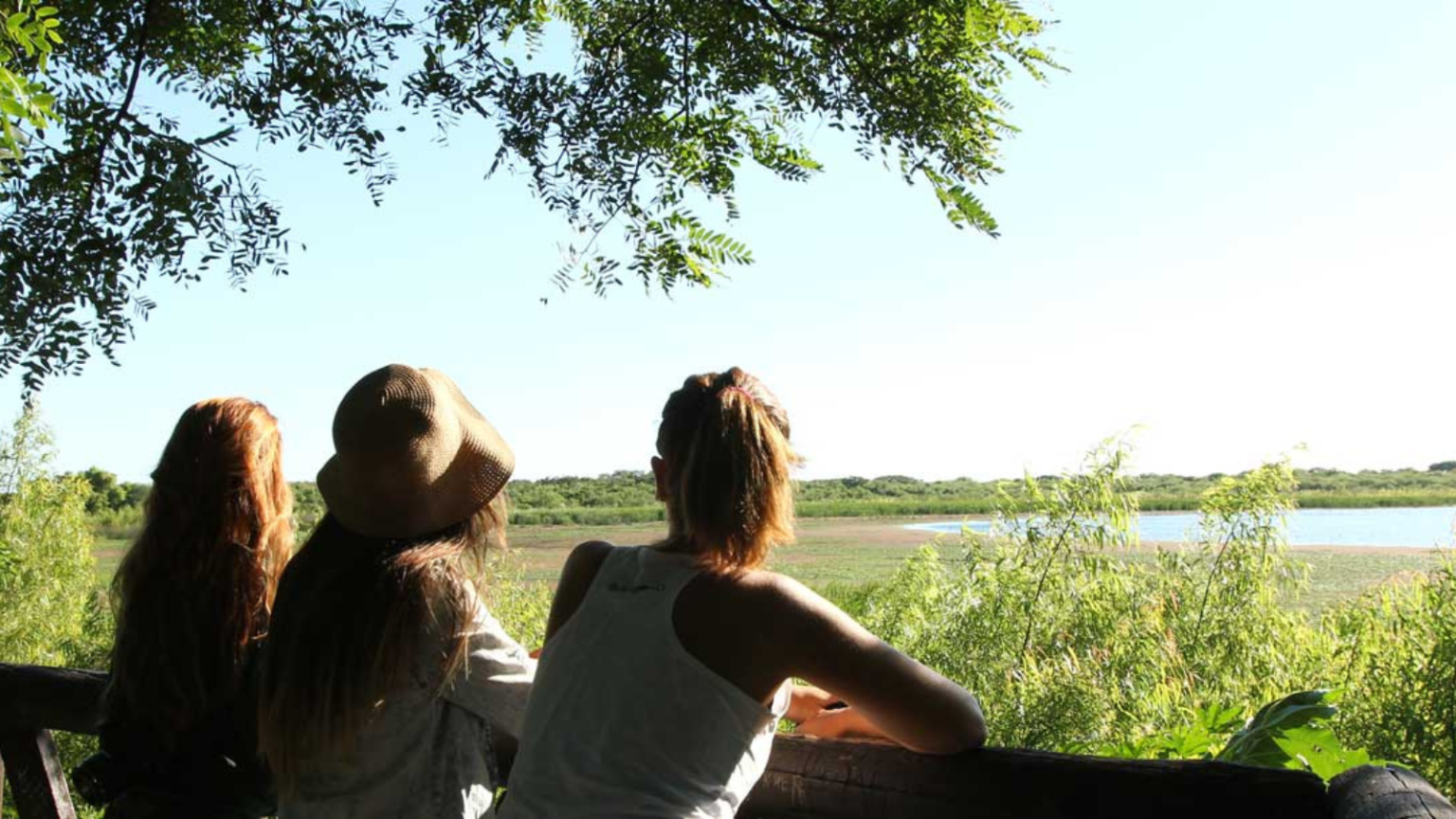 Green Buenos Aires: Parks and Natural Spaces in the City