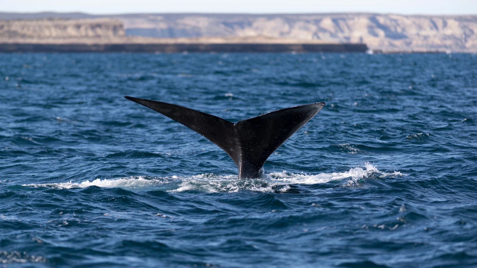 Dont Miss These Must-Visit Places in Argentina