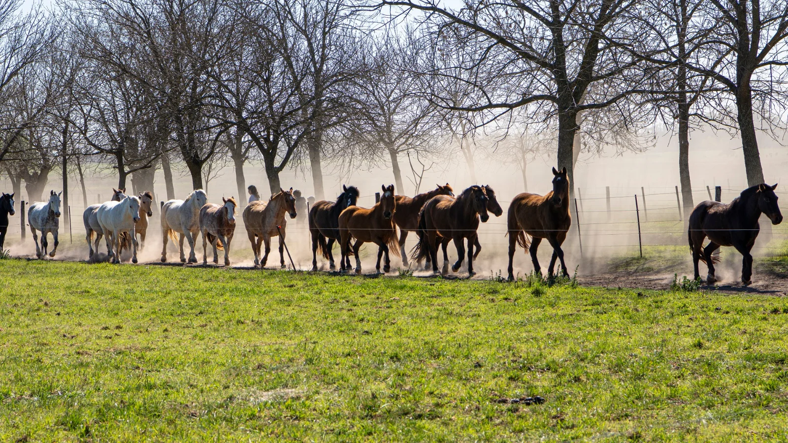 Luxury Travel in Argentina: indulge in your next vacation