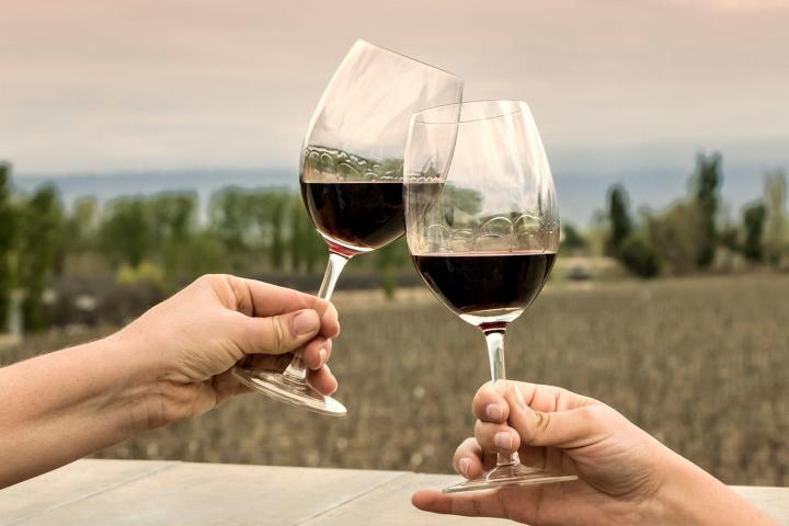 a hand holding a glass of red wine